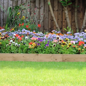 Timber Lawn Edging